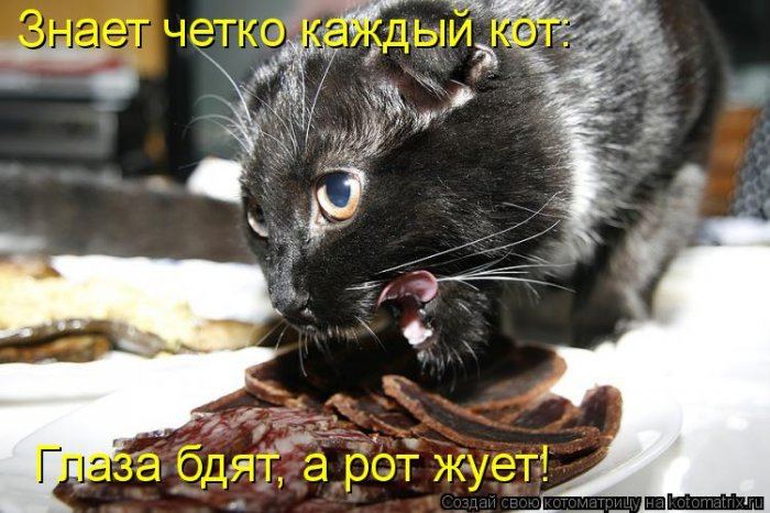 VFL.RU -  