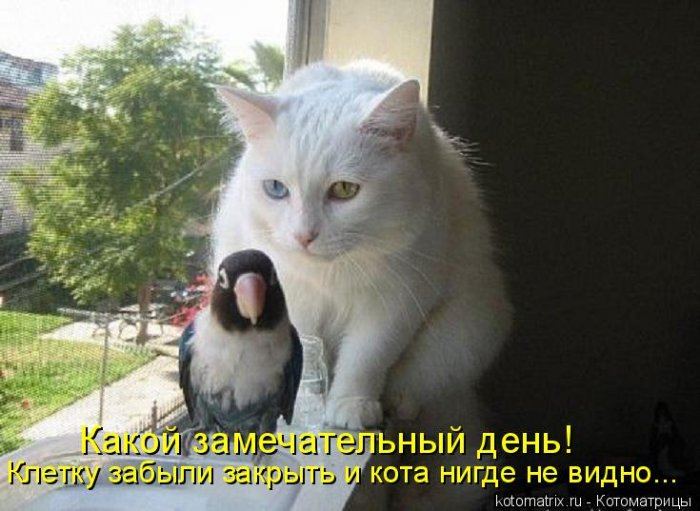 VFL.RU -  