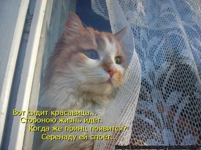 VFL.RU -  
