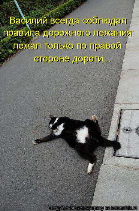 VFL.RU -  