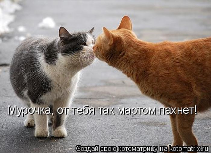 VFL.RU -  