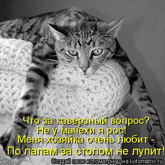 VFL.RU -  