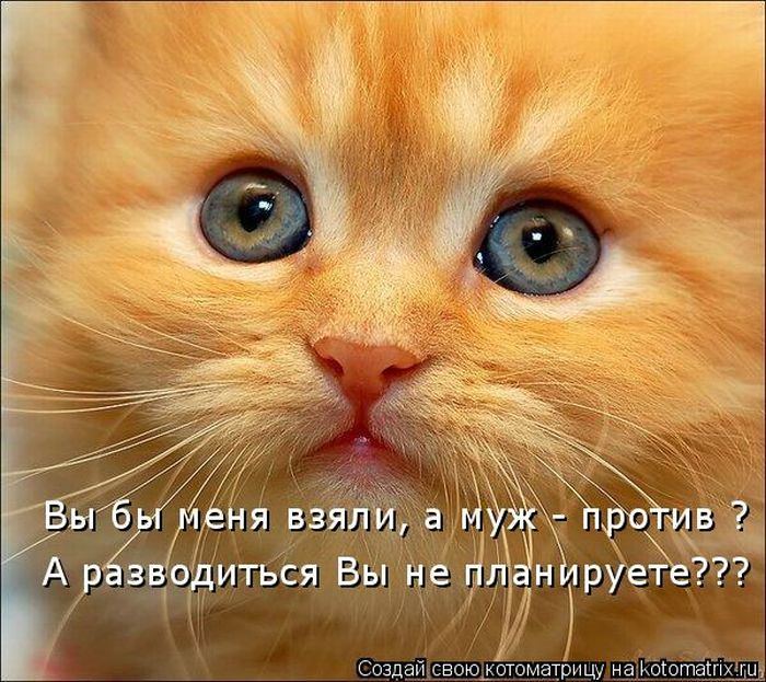VFL.RU -  