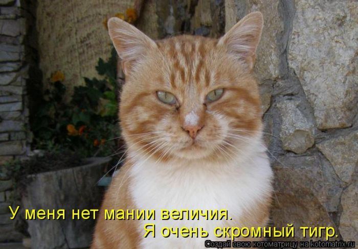 VFL.RU -  