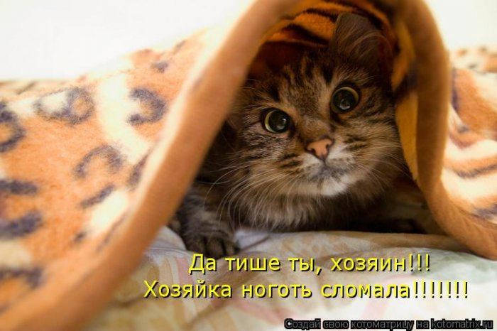 VFL.RU -  