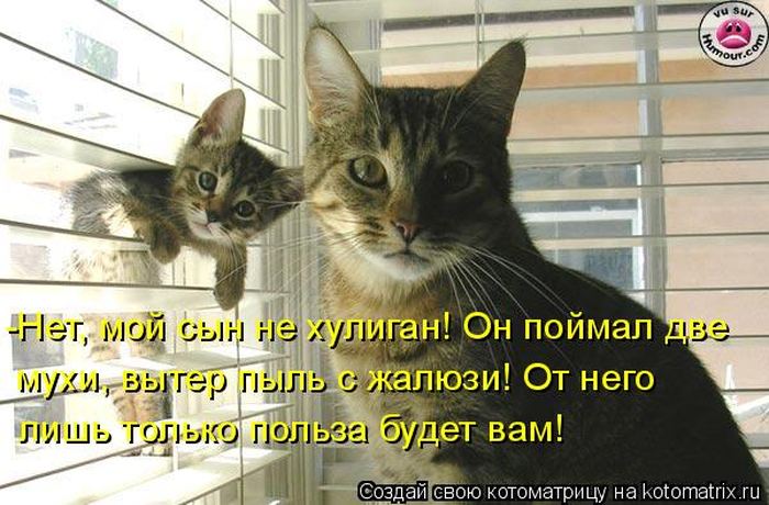 VFL.RU -  
