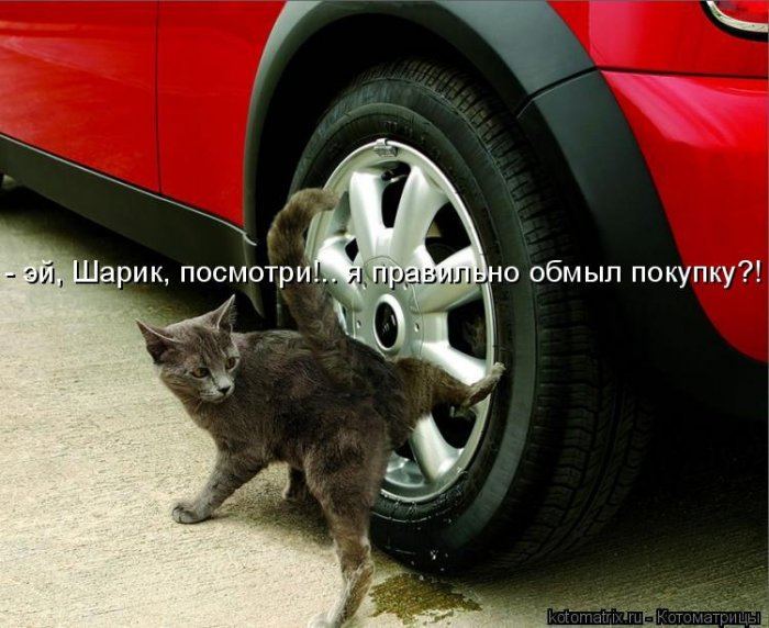 VFL.RU -  