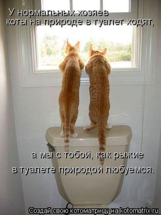 VFL.RU -  