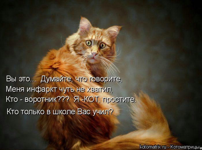 VFL.RU -  
