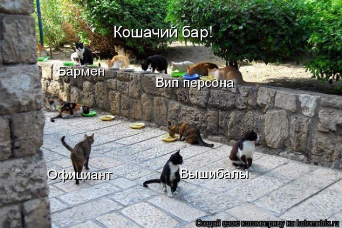 VFL.RU -  
