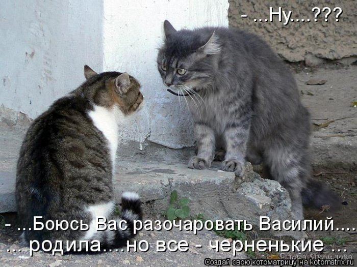 VFL.RU -  