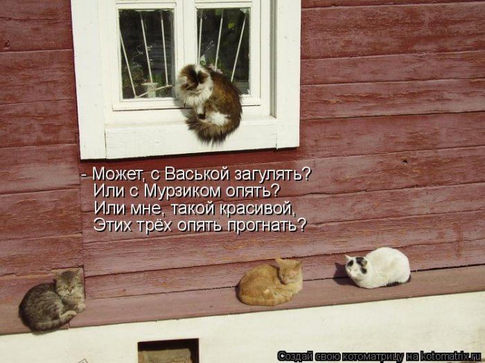 VFL.RU -  