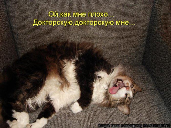 VFL.RU -  