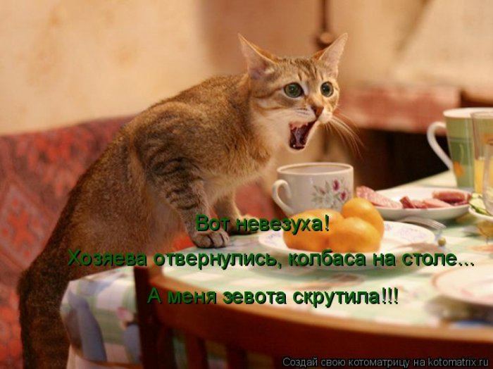 VFL.RU -  