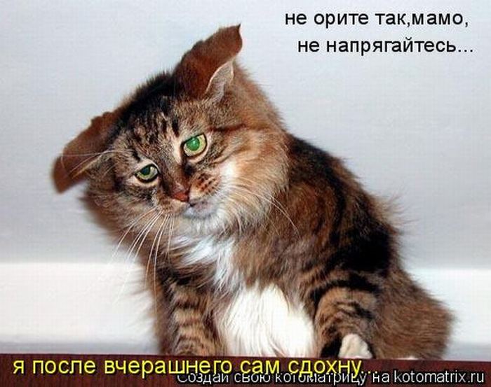 VFL.RU -  