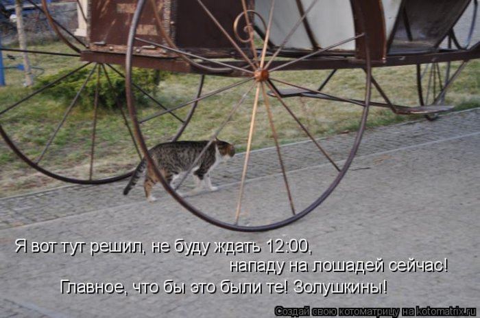 VFL.RU -  