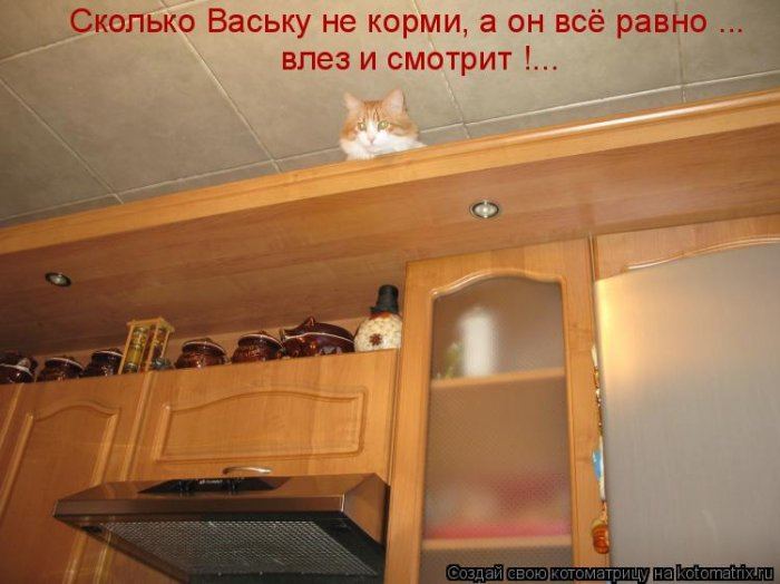 VFL.RU -  