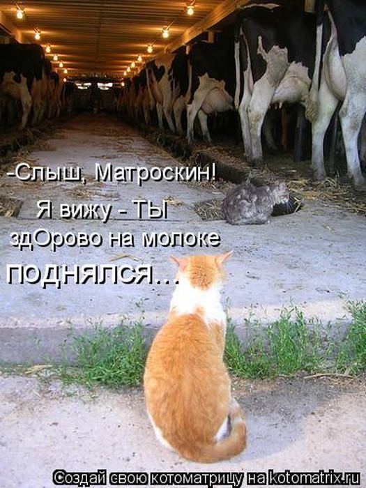 VFL.RU -  