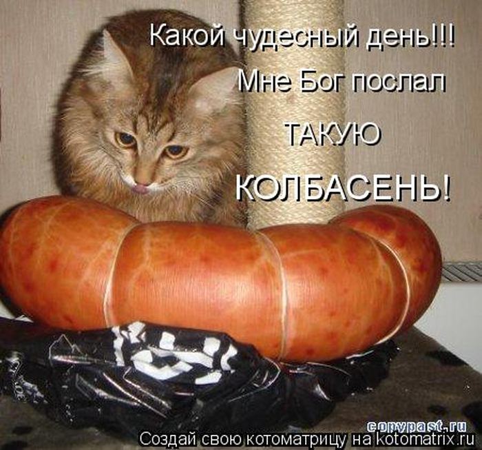 VFL.RU -  
