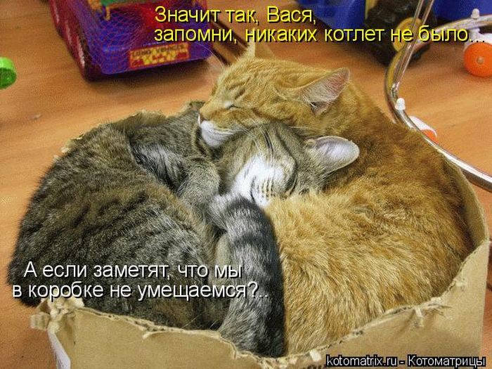 VFL.RU -  