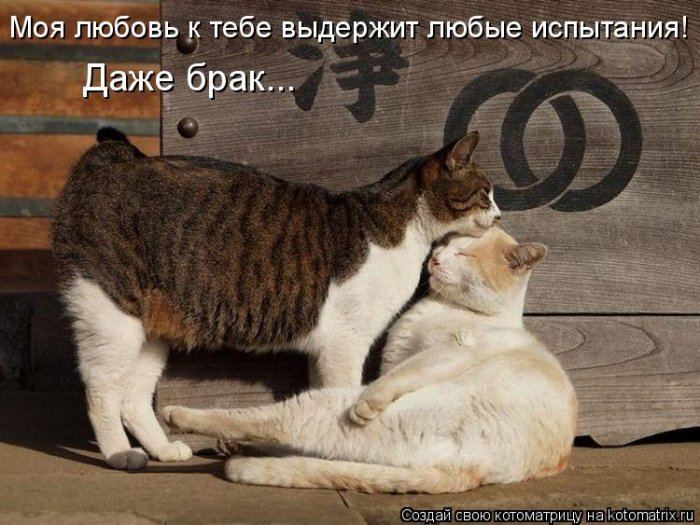 VFL.RU -  