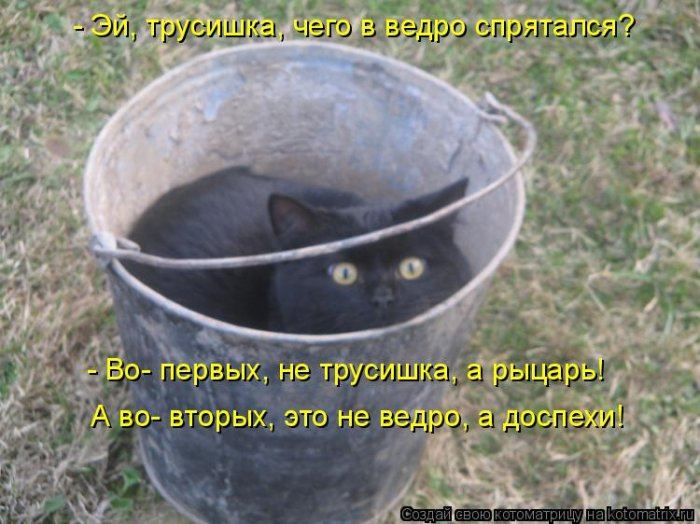 VFL.RU -  