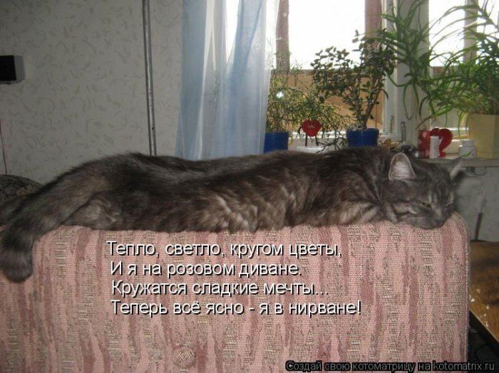 VFL.RU -  