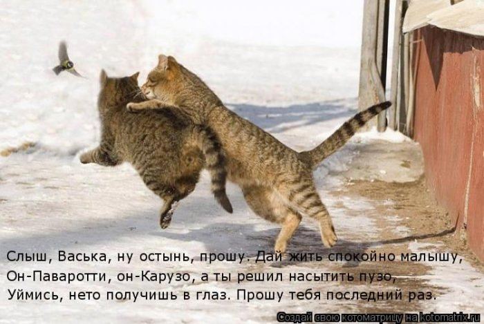 VFL.RU -  