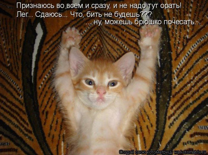 VFL.RU -  