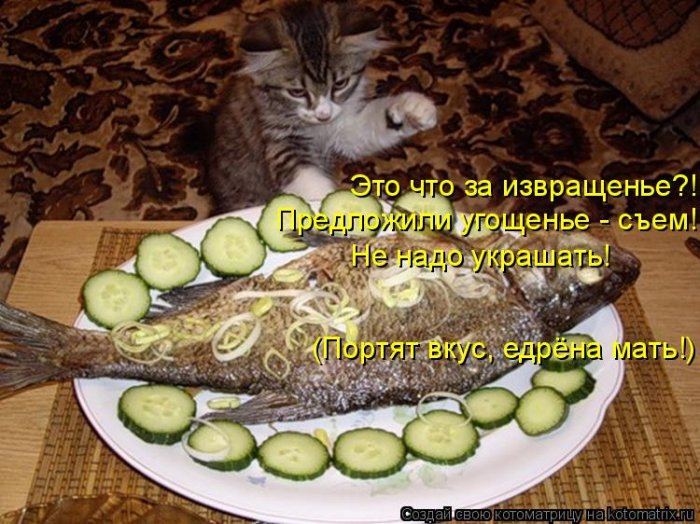 VFL.RU -  
