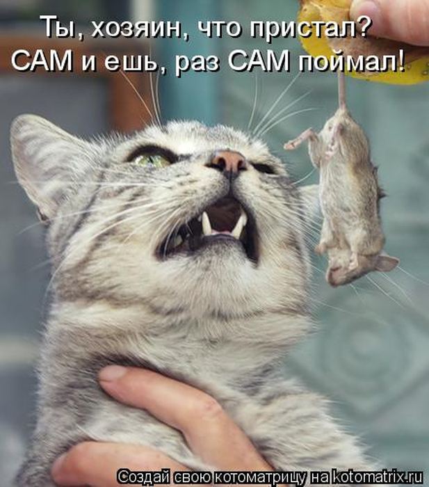 VFL.RU -  