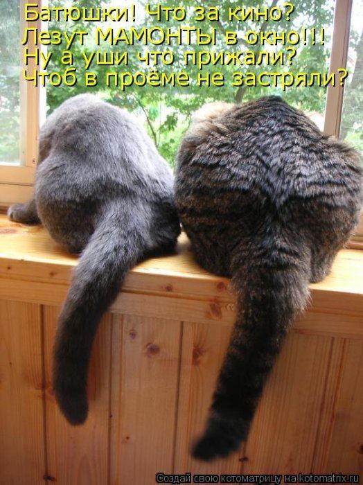 VFL.RU -  