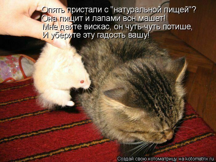 VFL.RU -  