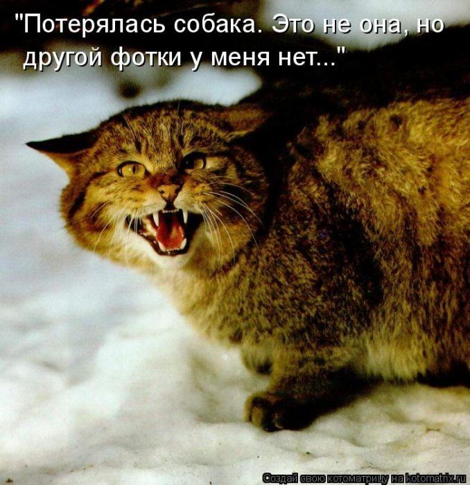 VFL.RU -  