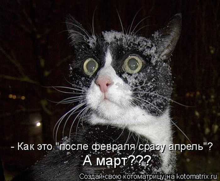 VFL.RU -  