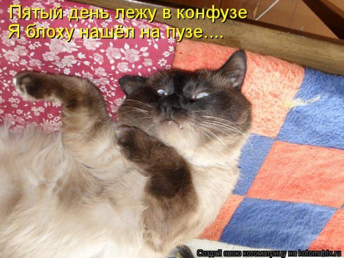 VFL.RU -  
