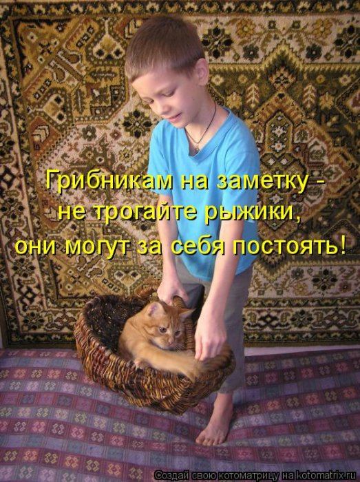 VFL.RU -  