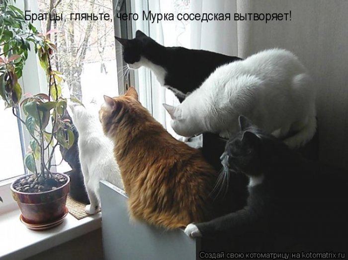 VFL.RU -  