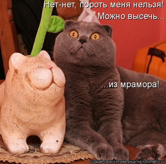 VFL.RU -  