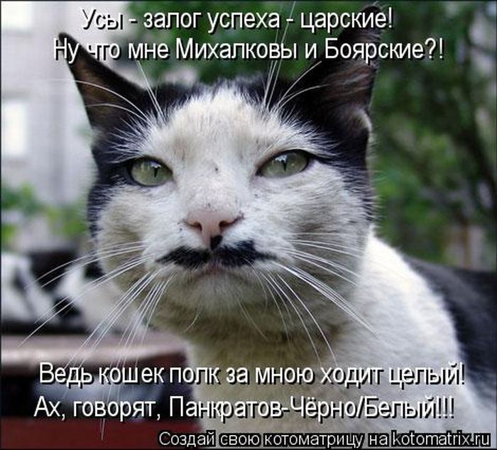 VFL.RU -  