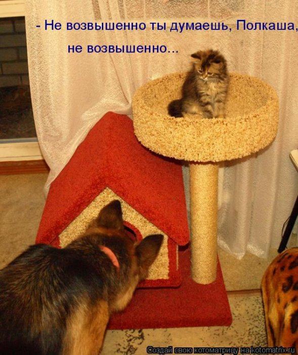 VFL.RU -  