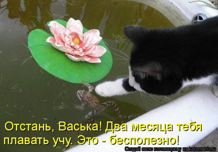 VFL.RU -  