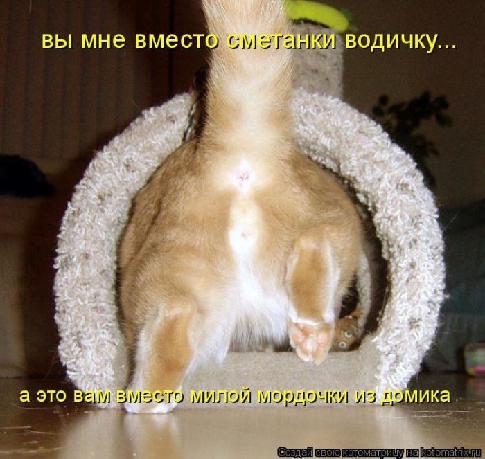 VFL.RU -  