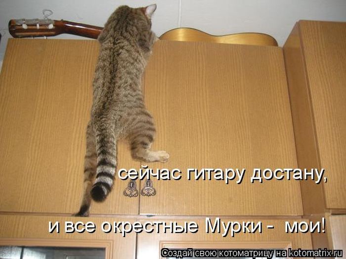 VFL.RU -  