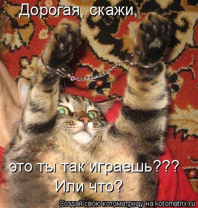 VFL.RU -  