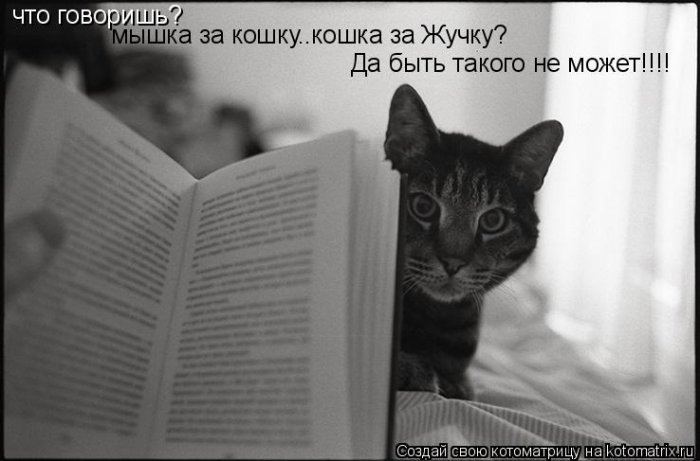 VFL.RU -  
