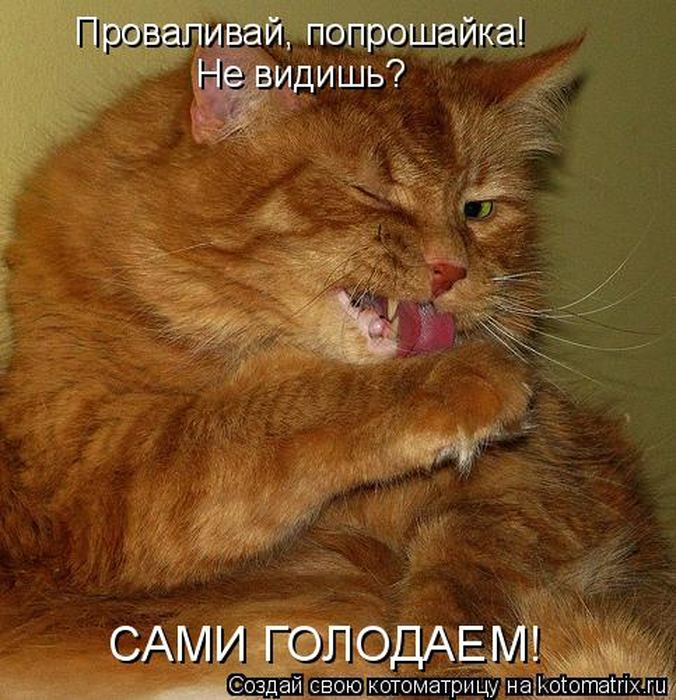 VFL.RU -  