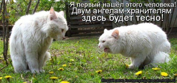 VFL.RU -  