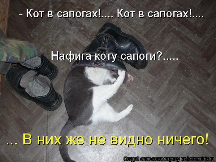 VFL.RU -  