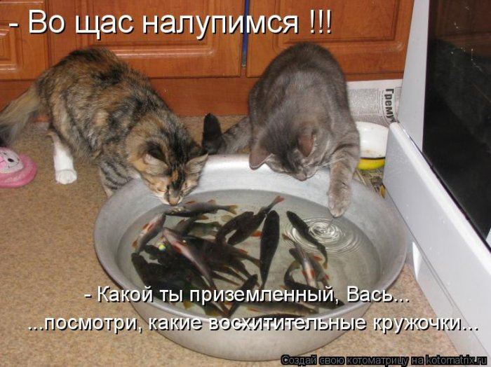 VFL.RU -  